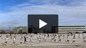 Forças Armadas. Missões de Paz. Educação Física no Exército.