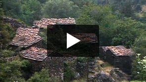 Ambiente e Forças Armadas. O papel das Forças Armadas Portuguesas na defesa e preservação do meio ambiente (versão francesa).