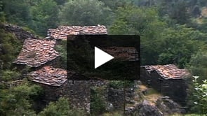 Ambiente e Forças Armadas. O papel das Forças Armadas Portuguesas na defesa e preservação do meio ambiente (versão portuguesa).