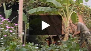 Forças militares portuguesas em Angola. K5.