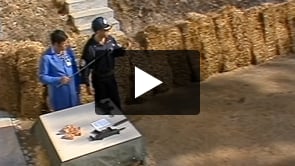 Campo de Tiro de Alcochete (imagens de Arquivo). I parte.