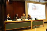 Fotografia - Sessão “A Cimeira África-UE de 2014 e a Agenda de Desenvolvimento pós-2015: Que perspetivas?” (Conferência - A Parceria África-Europa em Construção: Que Futuro?), por IEEI / IMVF